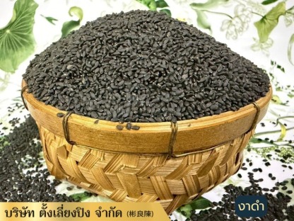 งาดำราคาส่ง