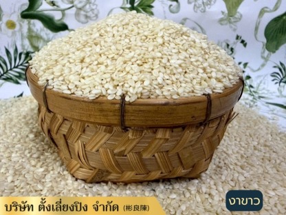 จำหน่ายงาขาว