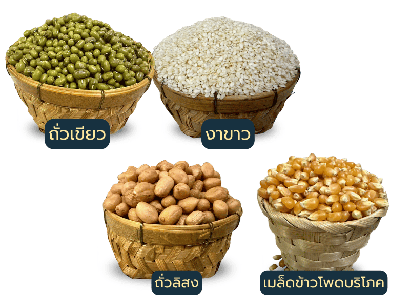 ร้านขายส่ง เมล็ดธัญพืช ร้านขายส่ง เมล็ดธัญพืช